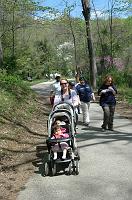 NAMIWalk07 (383) 